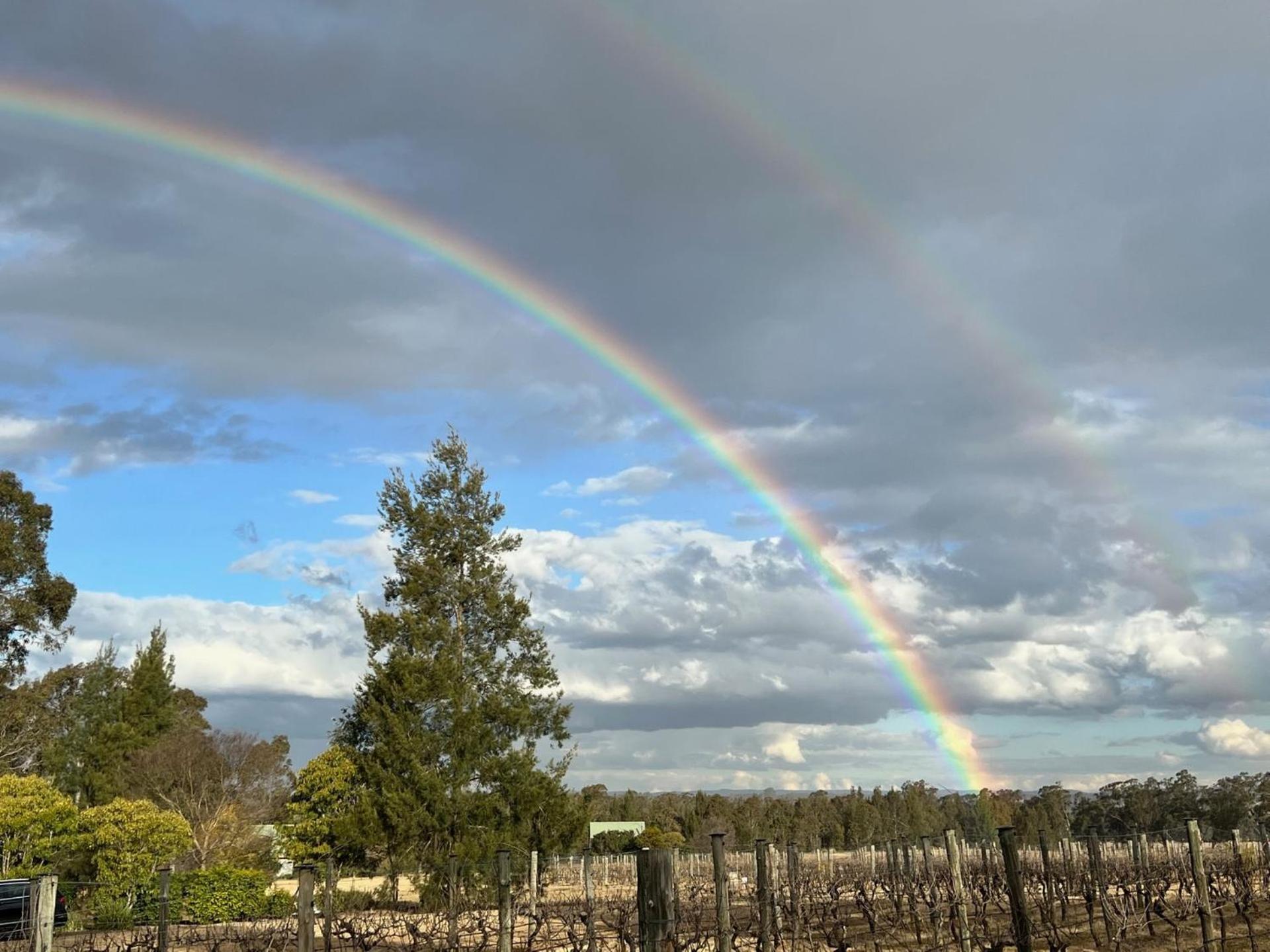 Bracken Ridge Vineyard The Entire Estate Rothbury Exterior foto