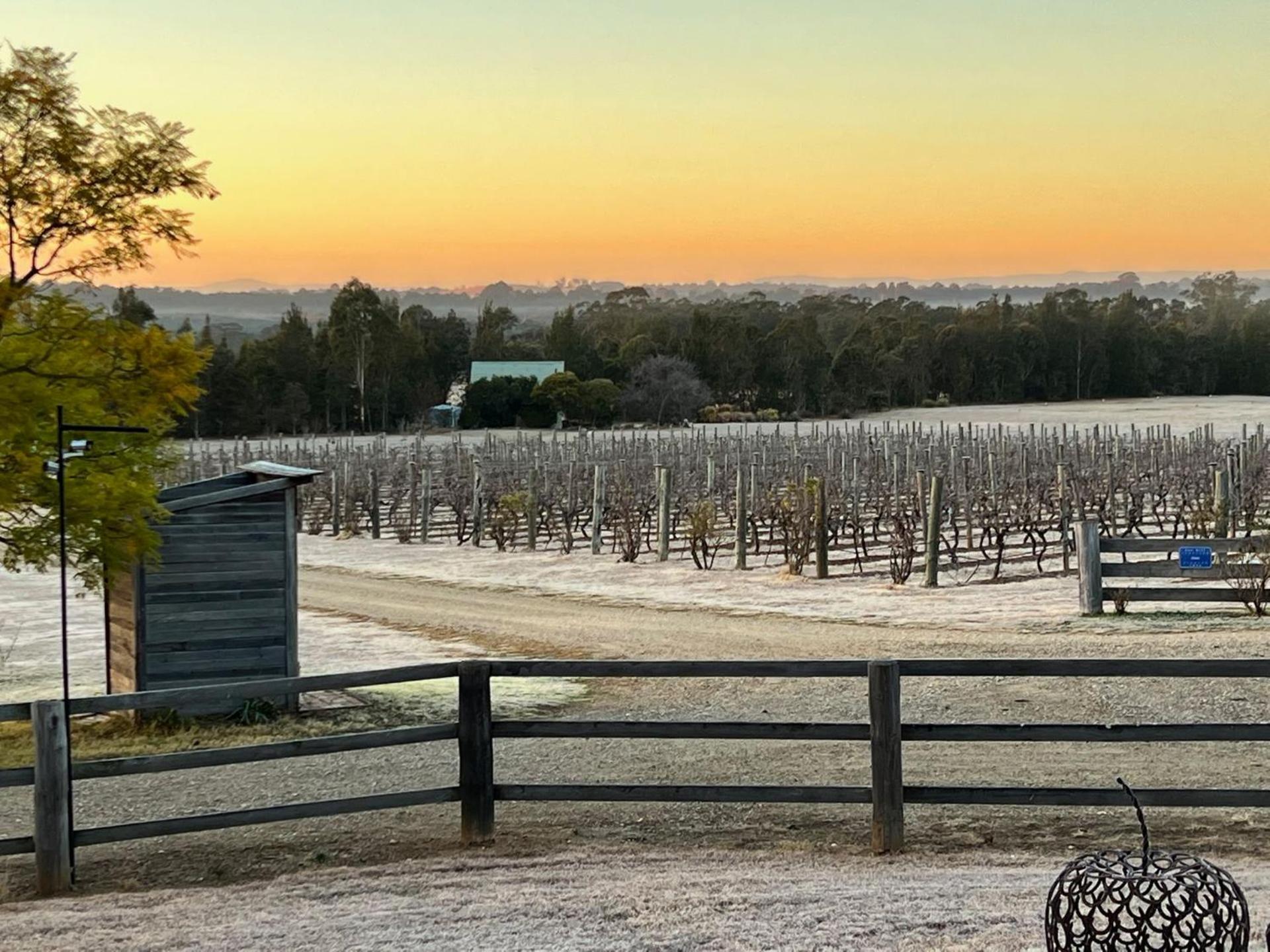 Bracken Ridge Vineyard The Entire Estate Rothbury Exterior foto