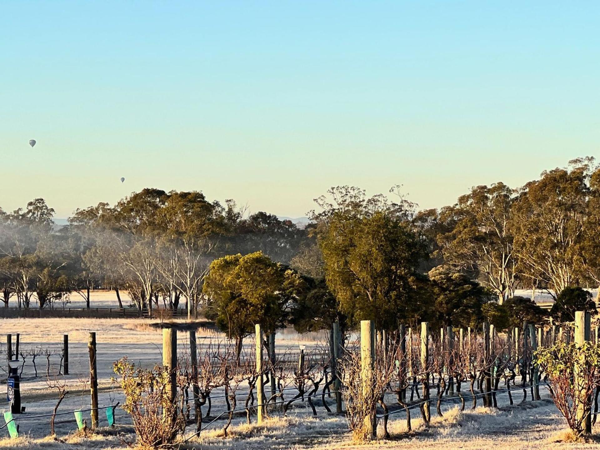 Bracken Ridge Vineyard The Entire Estate Rothbury Exterior foto